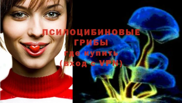 индика Нязепетровск