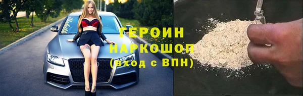 сатива Няндома