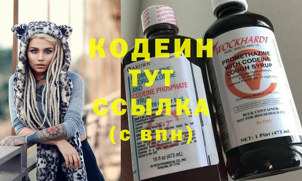 индика Нязепетровск