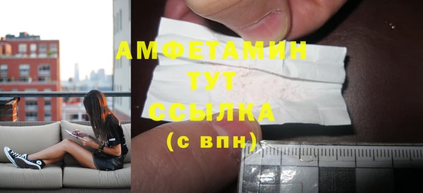сатива Няндома