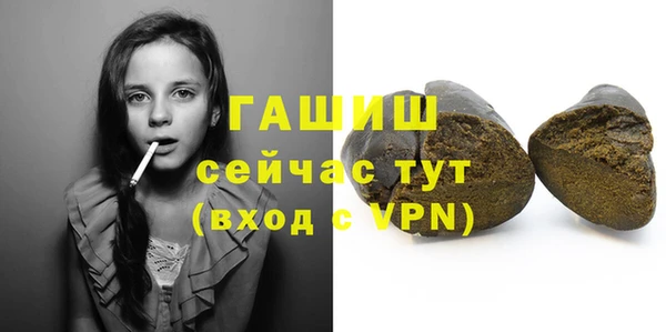 сатива Няндома