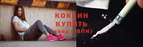 индика Нязепетровск
