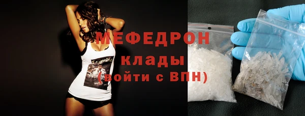 сатива Няндома