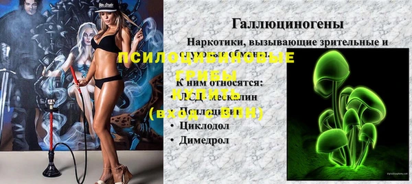 сатива Няндома
