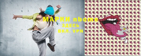 индика Нязепетровск