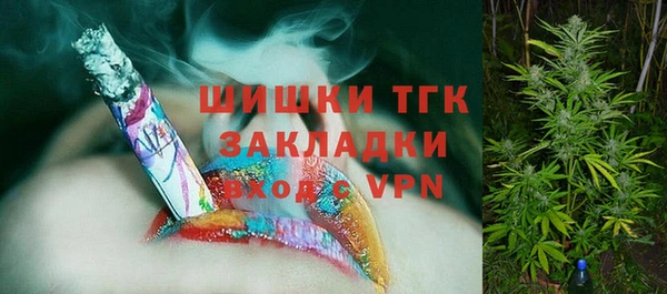 сатива Няндома