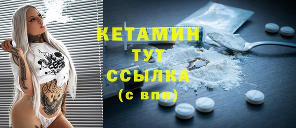 сатива Няндома