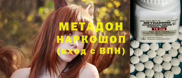 индика Нязепетровск