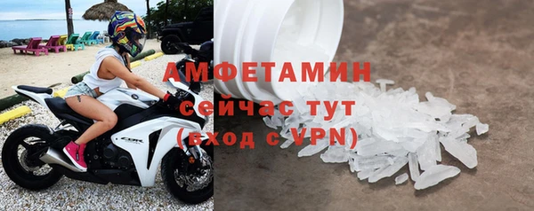 индика Нязепетровск