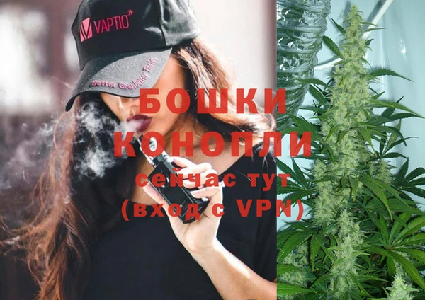 сатива Няндома