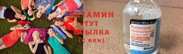 сатива Няндома