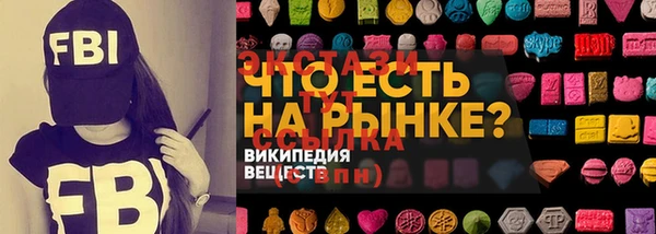 сатива Няндома