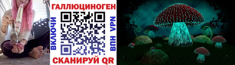 Галлюциногенные грибы GOLDEN TEACHER  Сусуман 