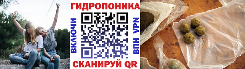 ОМГ ОМГ зеркало  Сусуман  Бошки марихуана White Widow 